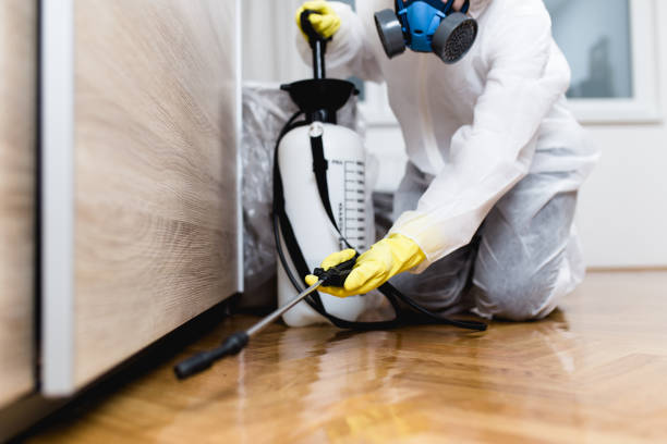 Best Pest Prevention Services  in Gardende, AL