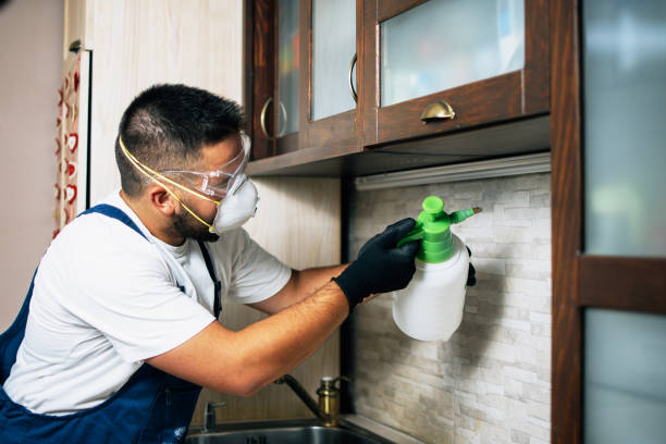 Best Rat Extermination Near Me  in Gardende, AL