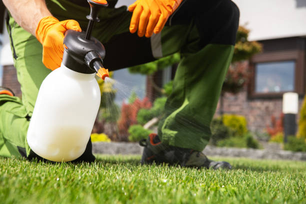 Best Wildlife Control Services  in Gardende, AL