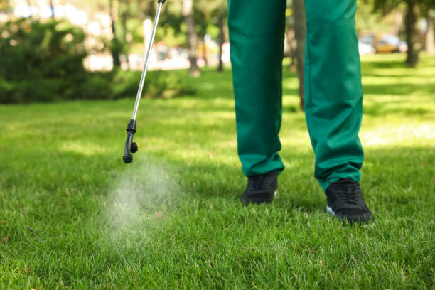 Best Ant Control Services  in Gardende, AL