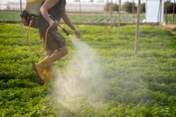 Best Local Pest Control Services  in Gardende, AL
