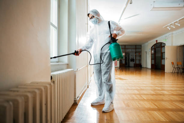 Best Wasp Removal Services  in Gardende, AL