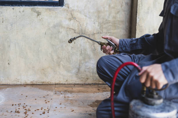 Best Best Pest Control Companies  in Gardende, AL